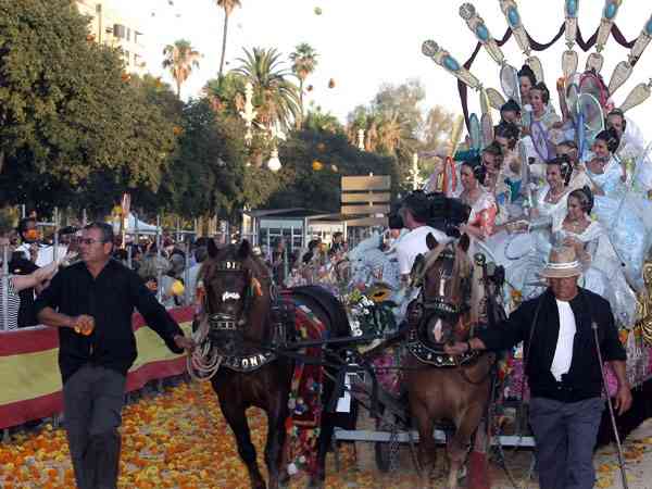 BatallaFlores2010   73 