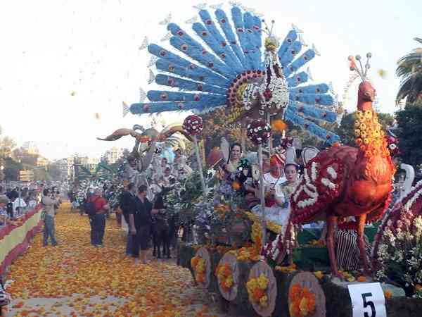 BatallaFlores2010   76 