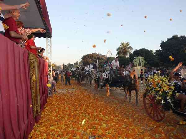 BatallaFlores2010   81 