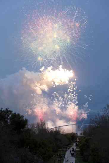 Mascleta 01032014 17