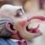 Fallas Valencia Fot  grafos Pardo169