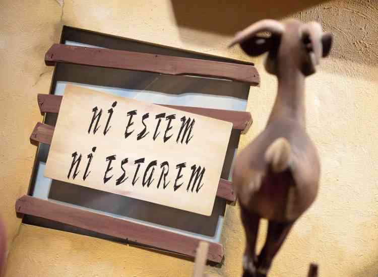 Fallas Valencia Fot  grafos Pardo192