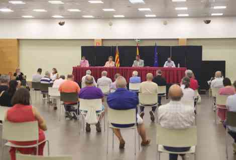 Pleno de julio de 2020