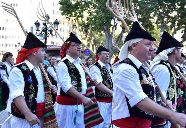 EntradaMCVLC2015  20 