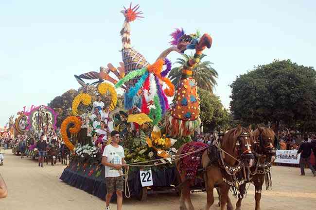 BatallaFlores2017  34 
