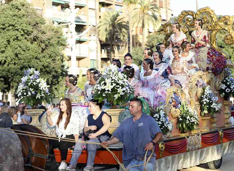 BatallaFlors2019  16 