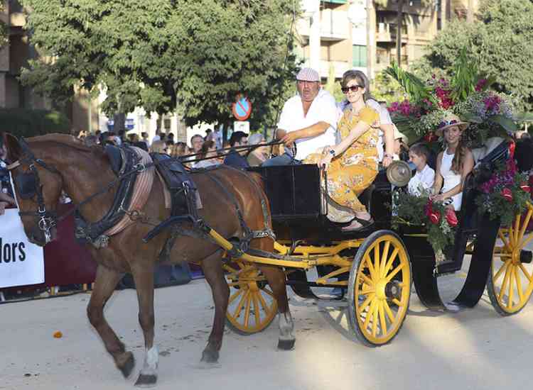 BatallaFlors2019  19 