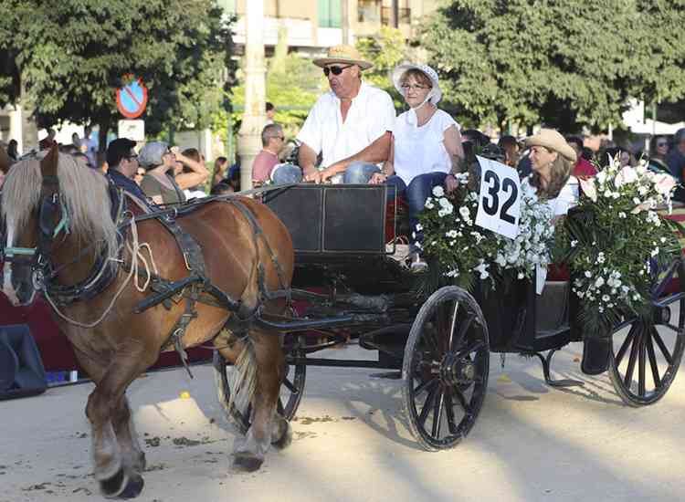 BatallaFlors2019  20 