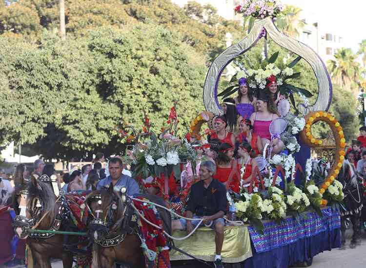 BatallaFlors2019  25 