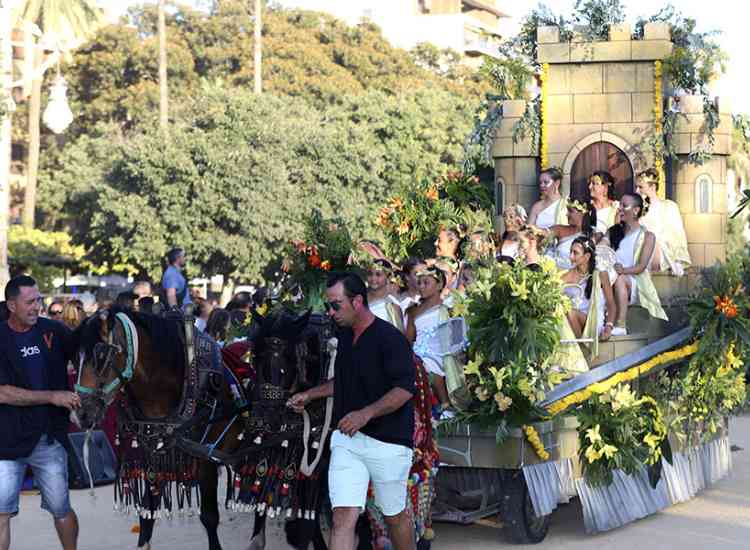 BatallaFlors2019  28 