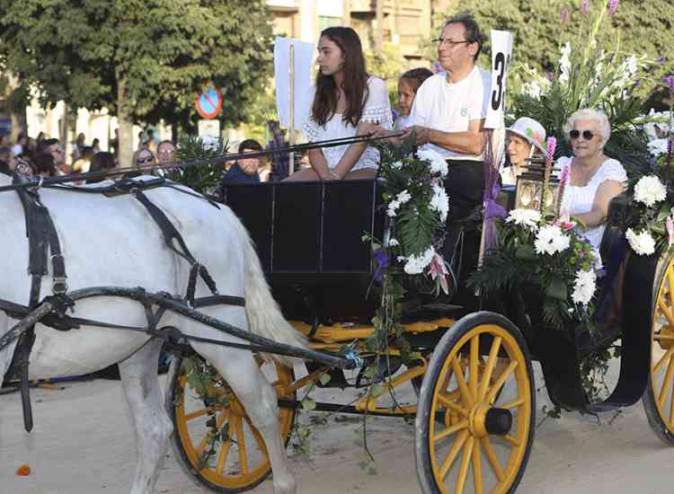 BatallaFlors2019  32 