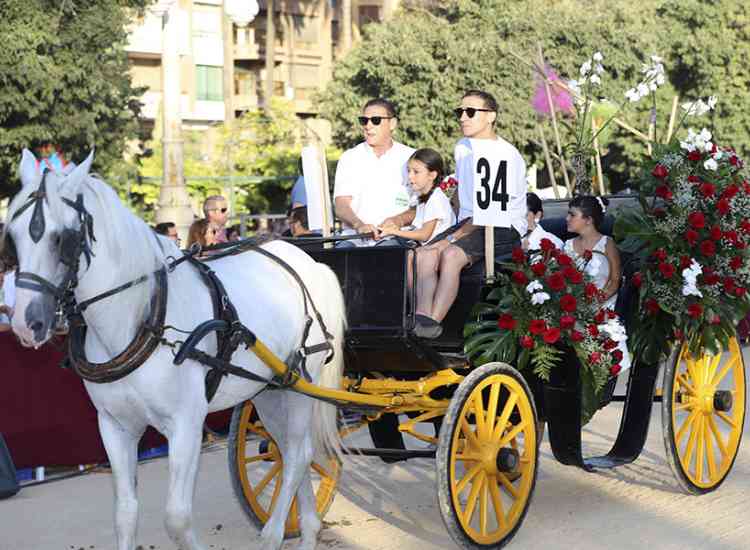 BatallaFlors2019  33 