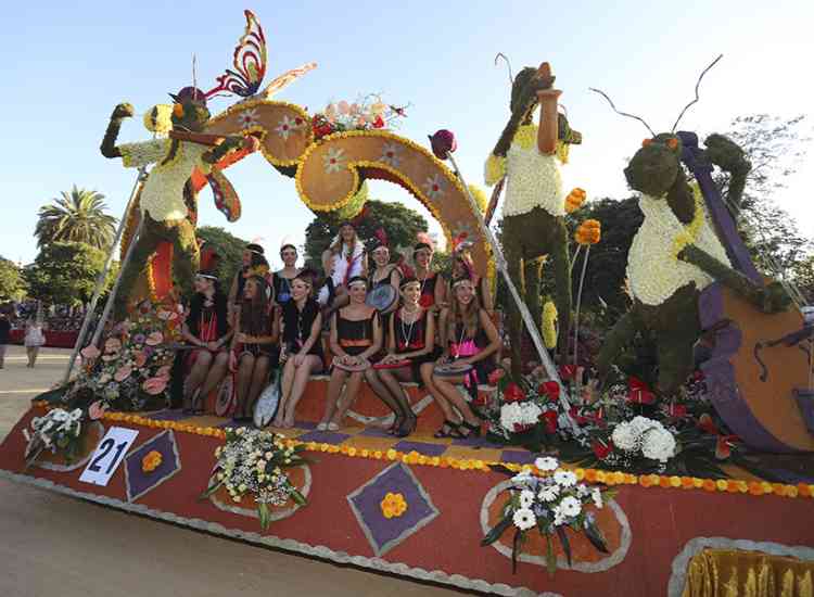 BatallaFlors2019  34 