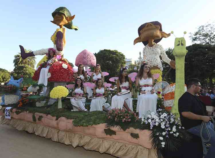 BatallaFlors2019  36 