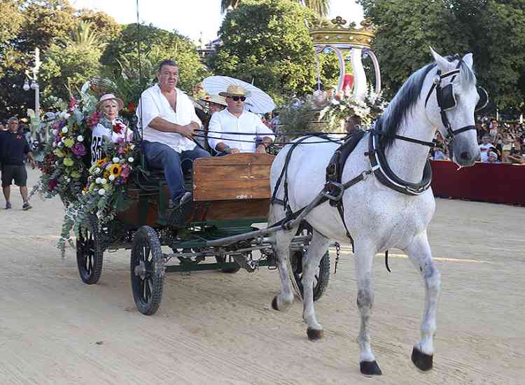 BatallaFlors2019  40 