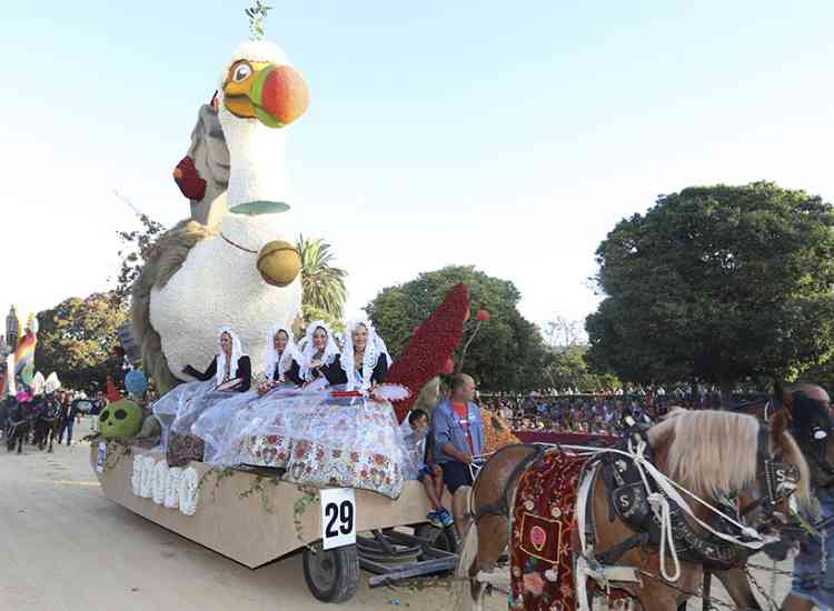 BatallaFlors2019  45 