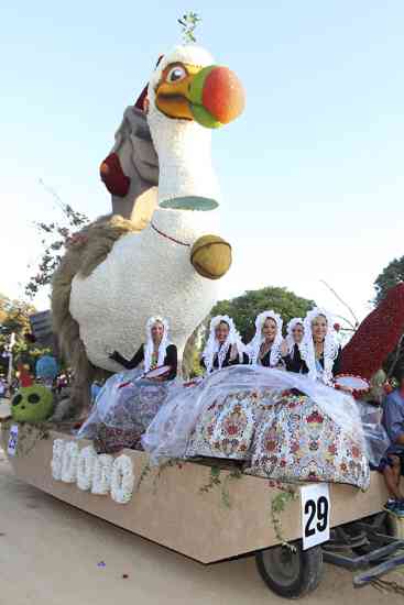 BatallaFlors2019  46 