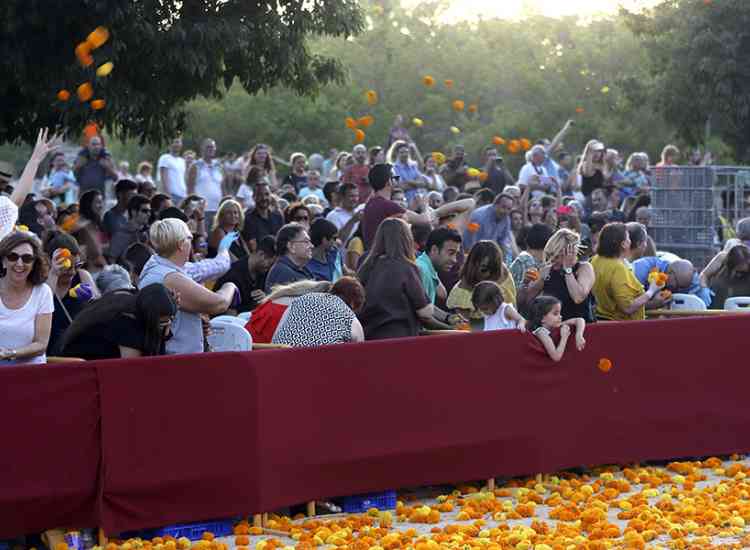 Batalla de Flores 2019  33 