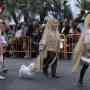 Cabalgata Ninot 2012  33 