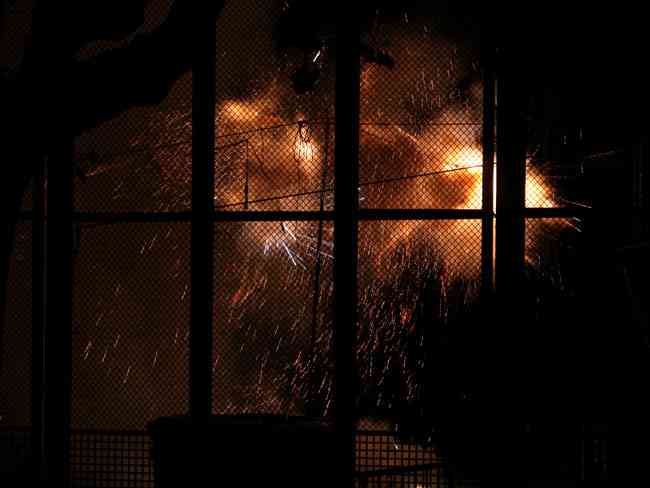 Cabalgata Ninot 2012  86 