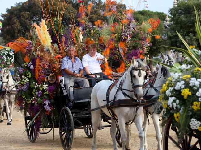 Batalla de Flores 2012  5 