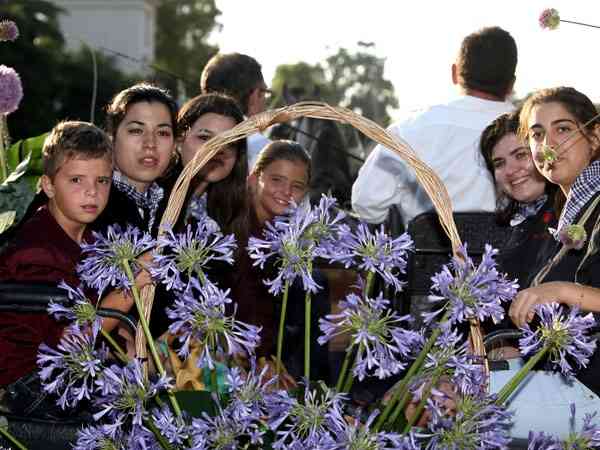 BatallaFlores2010   16 