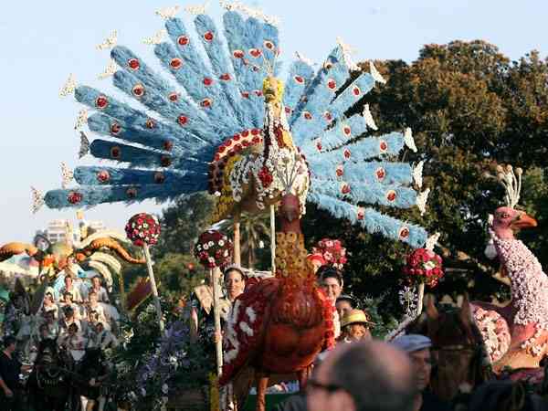 BatallaFlores2010   24 