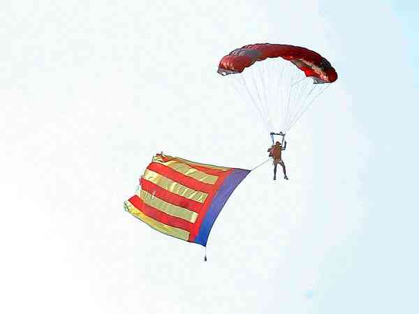 BatallaFlores2010   5 