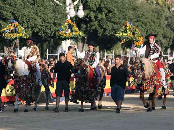BatallaFlores2010   9 