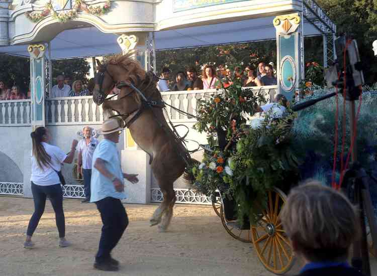 batalla flores 25 ii  