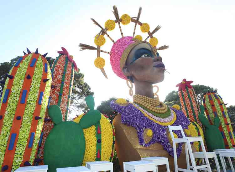 batalla flores 25 ii  