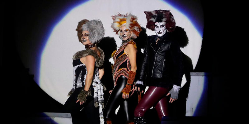 Playbacks Individuales 25